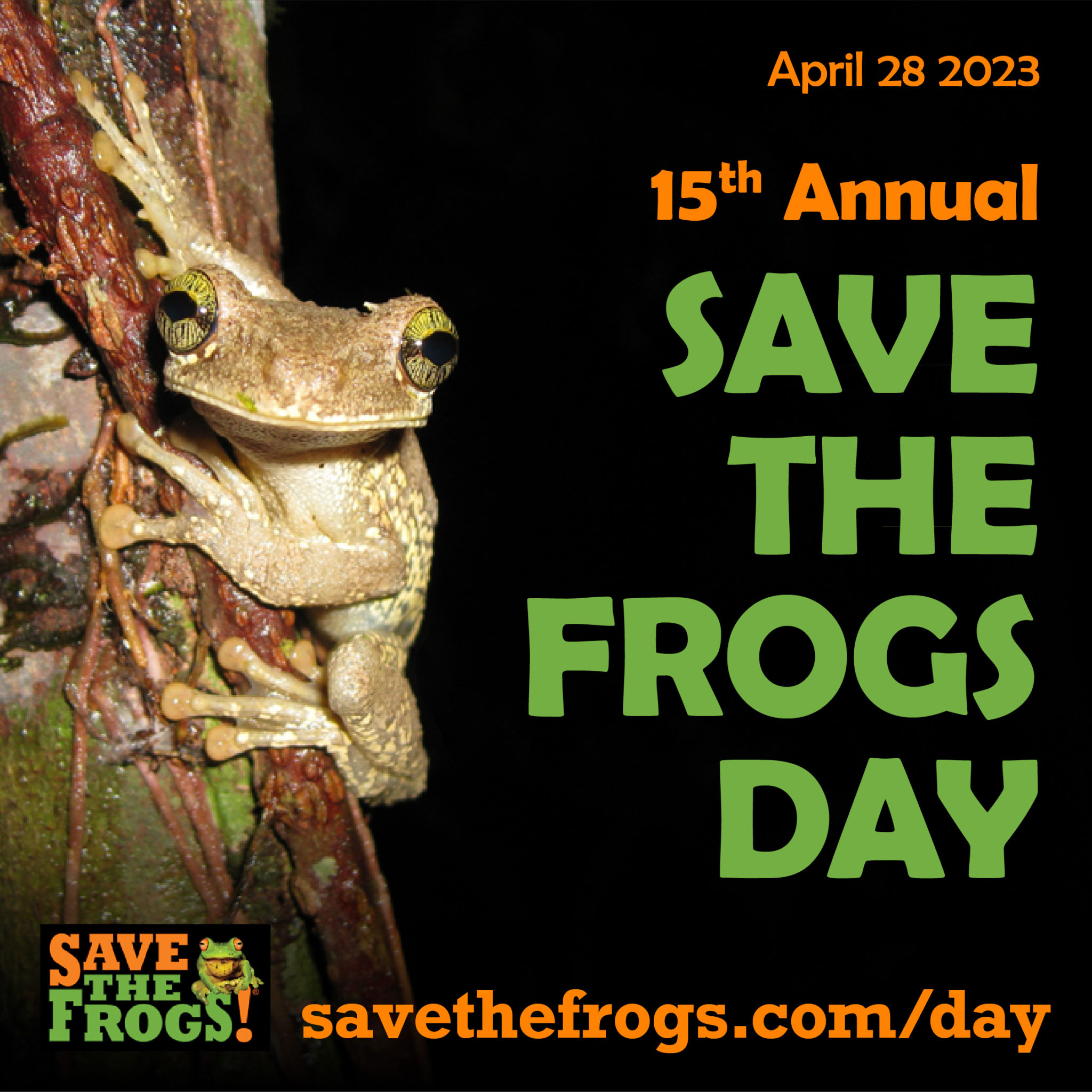 15th Annual Save The Frogs Day Friday April 28th, 2023