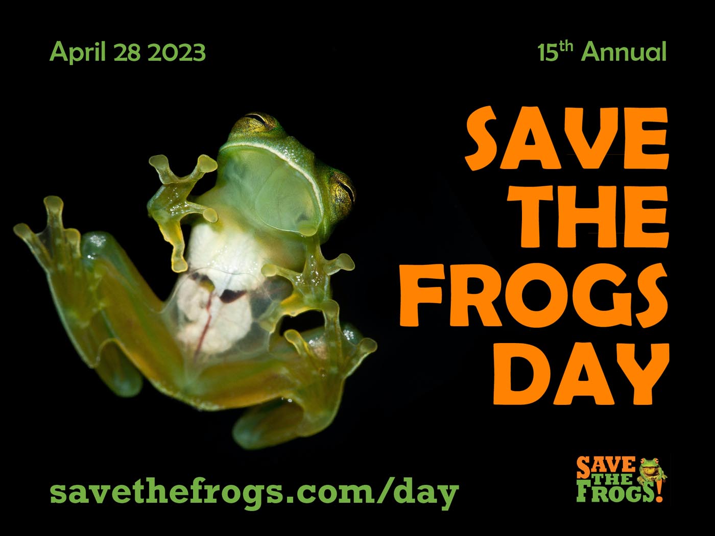 Icon - Save The Frogs Day 2023 - Jen Grottle 2