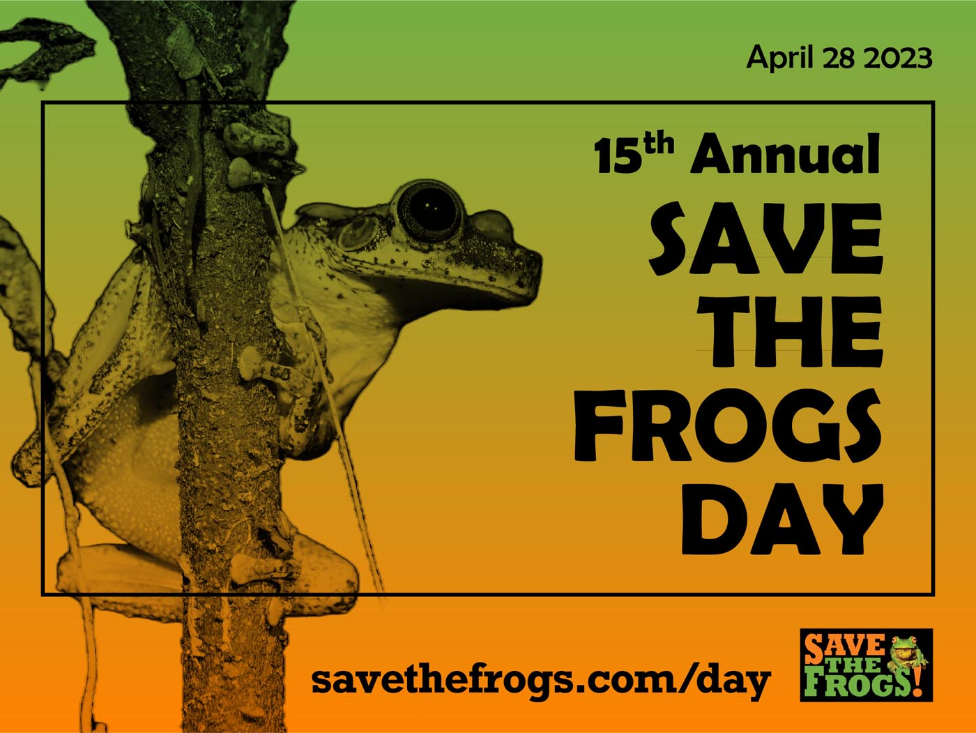 Icon Save The Frogs Day 2023 Jen Grottle 5