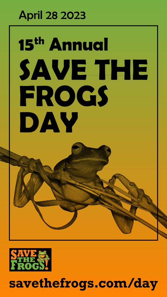 Save The Frogs Day 2023 Icon
