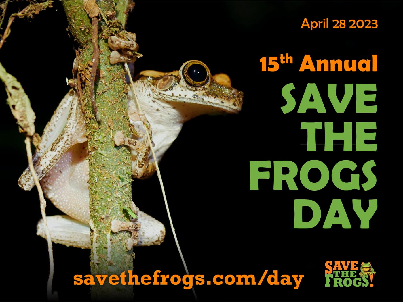 Icon - Save The Frogs Day 2023