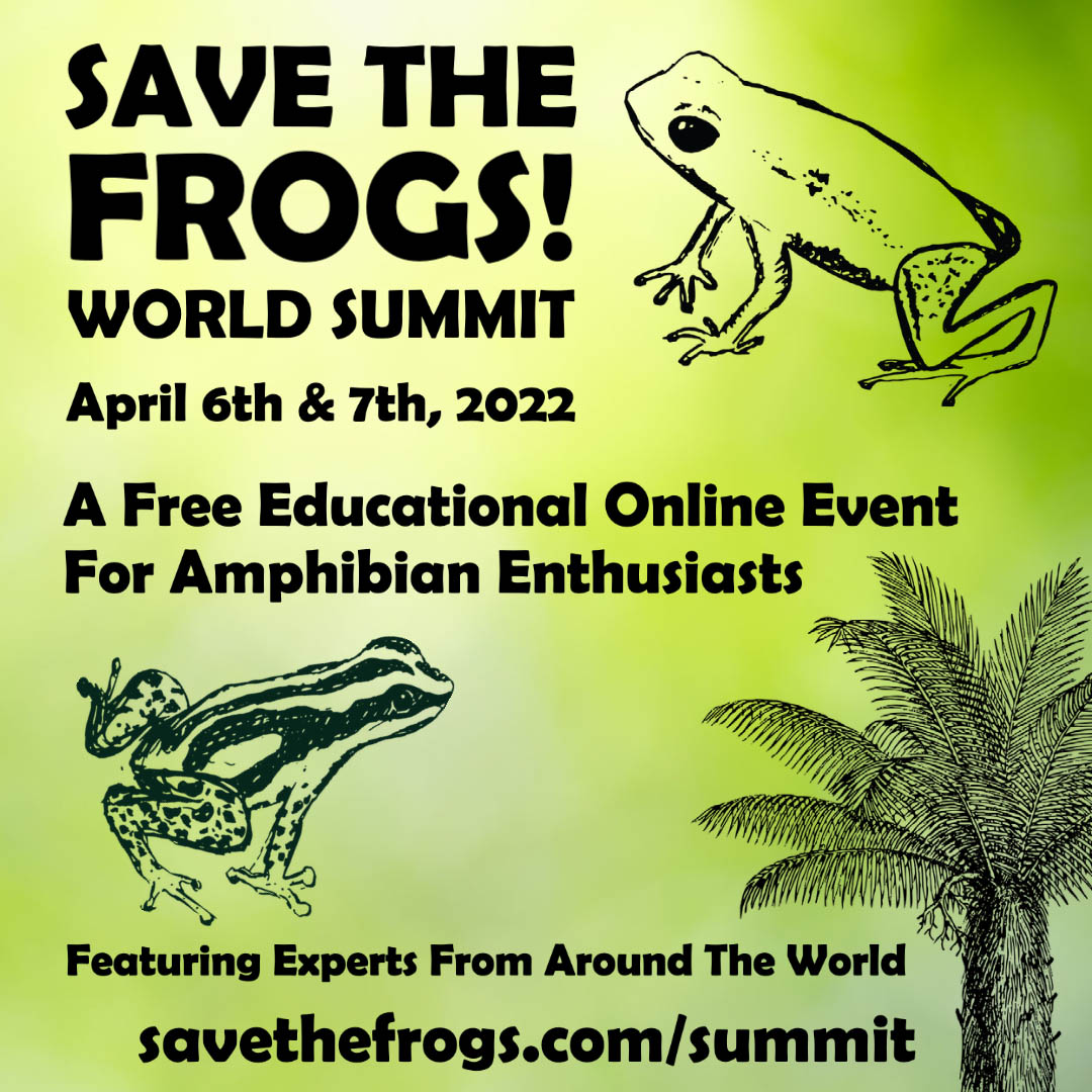Save The Frogs World Summit 2022 icon