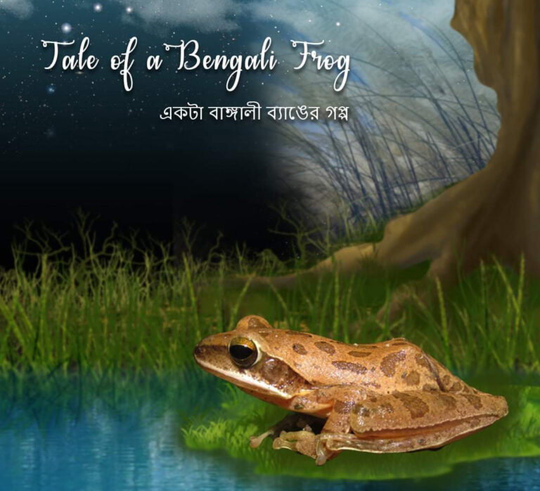 SAVE THE FROGS! India: Meet A Tree Toad And A Tree Frog