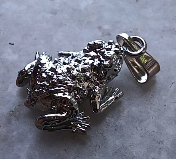 India Frog Pendant Jewelry 2023 Rugosa