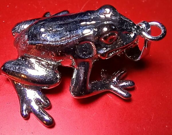 India Frog Pendant Jewelry 2023 Slender