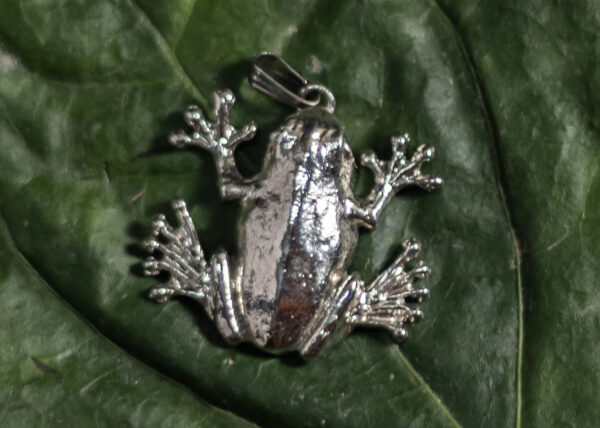 India Jewelry 2023 Megadigitus Pendant Big Toed Frog close up 1400