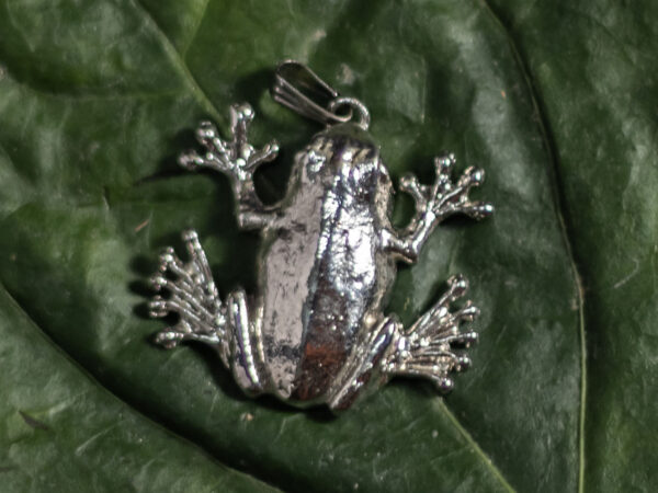 Perhiasan India 2023 Megadigitus Pendant Big Toed Frog menutup 1400