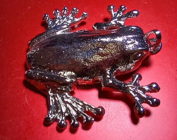 India Jewelry 2023 Megadigitus Pendant Big Toed Frog red