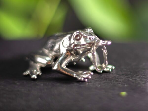 青蛙吊坠 - 印度珠宝细长