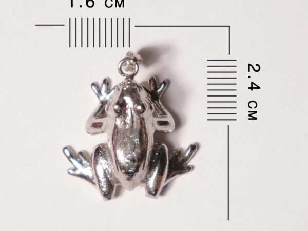 青蛙吊坠 - 印度珠宝细长