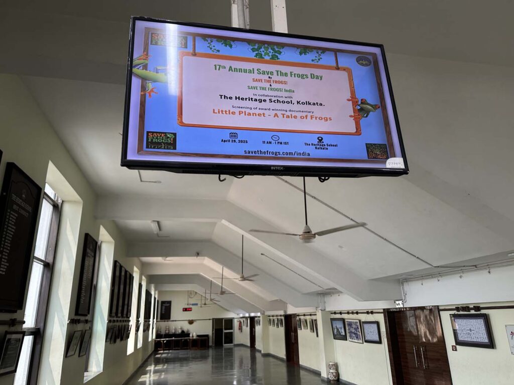 India Kolkata West Bengal - The Heritage School - Save The Frogs Day 2025-04-28 - 047