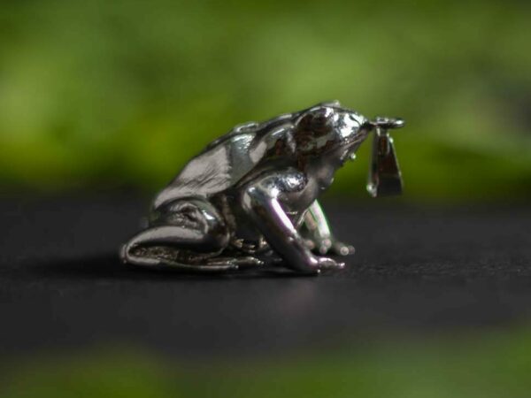 India Save The Frogs Colgante Joyería 2023 Redonda