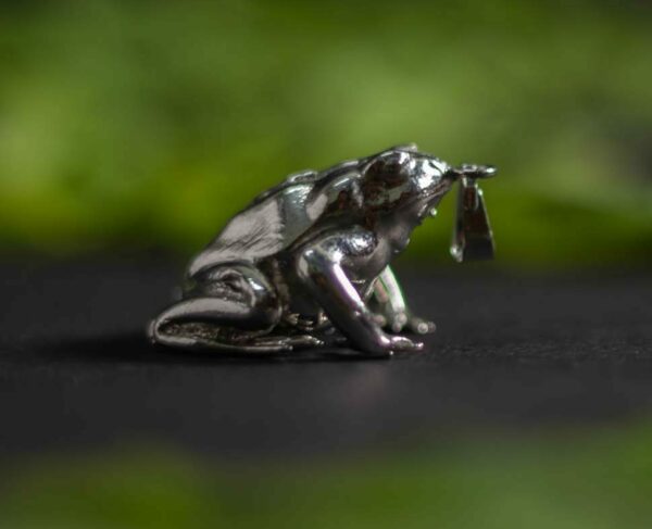 India Save The Frogs Pendant Jewelry 2023 Redonda