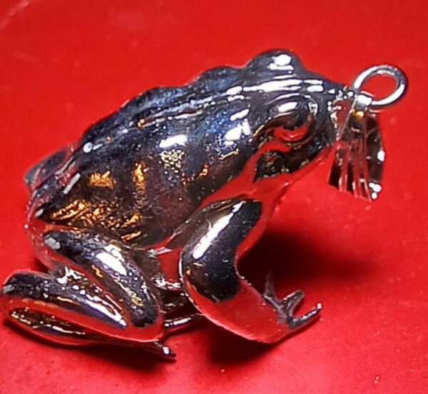 India Save The Frogs Pendant Jewelry 2023 Redonda red