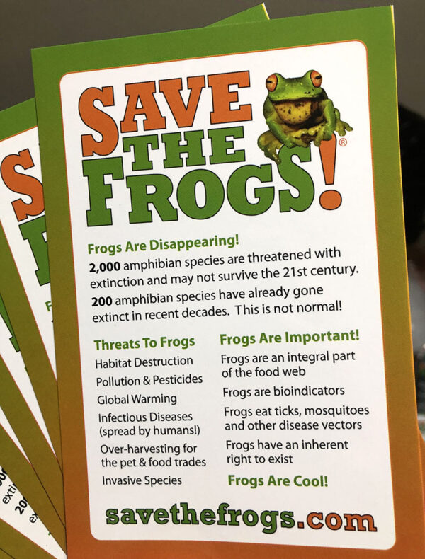 Info Cards Save The Frogs 1 800 1