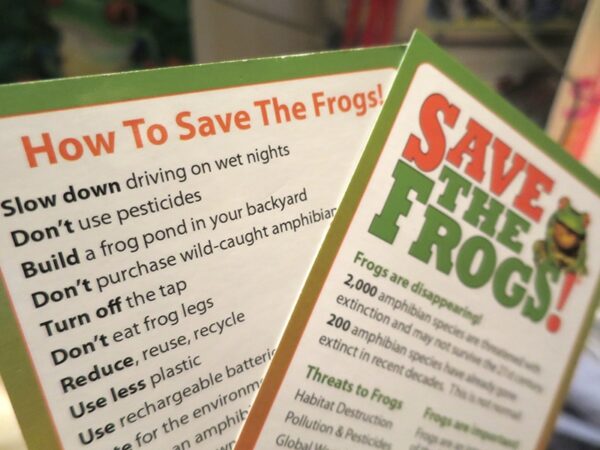 Info Cards Save The Frogs 2 800 1