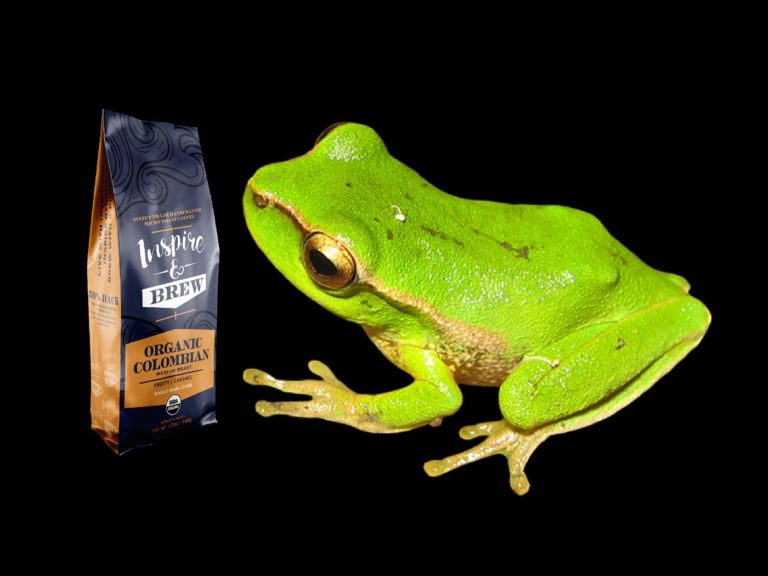 Inspire & Brew: Organic Coffee That Saves The Frogs