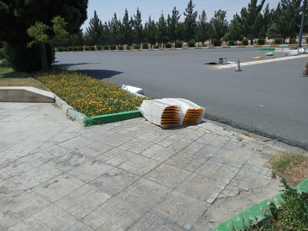이란 최종 보고서 보조금 Bufo eichwaldi Roadkill