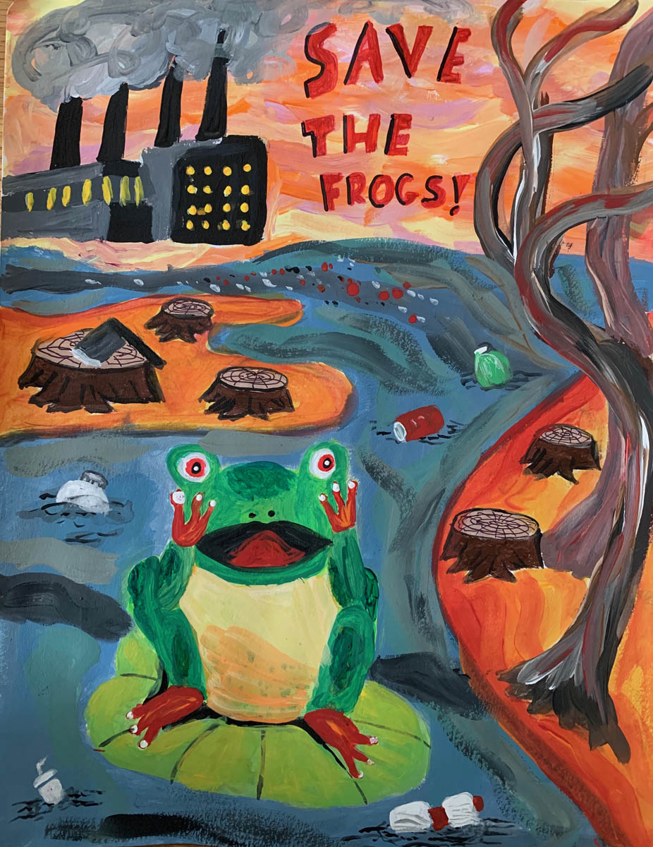 Ivy-Li-USA-2020-save-the-frogs-art-contest