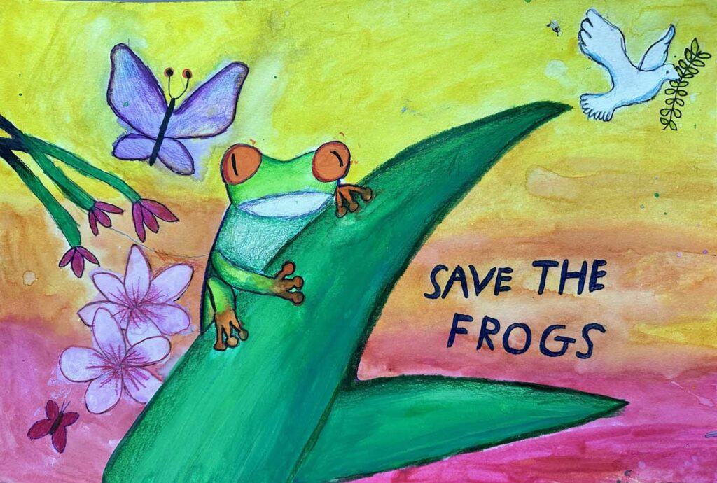 Ivy Zhang USA 2023 save the frogs art contest 1