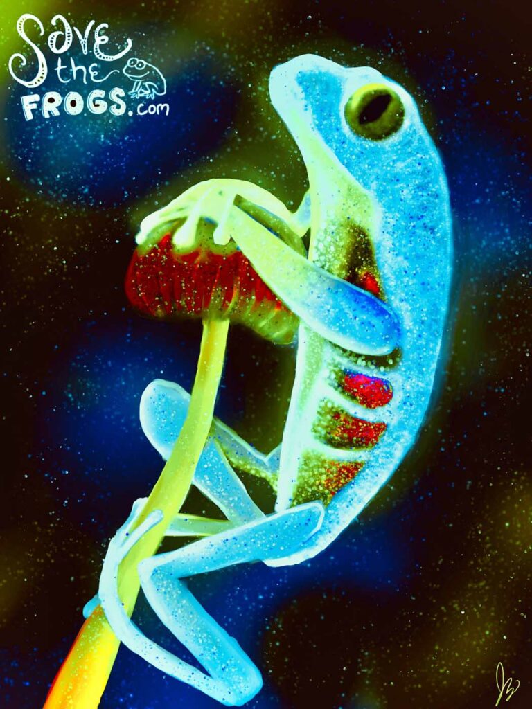 Jaci Zemenchik USA 2023 save the frogs art contest 1