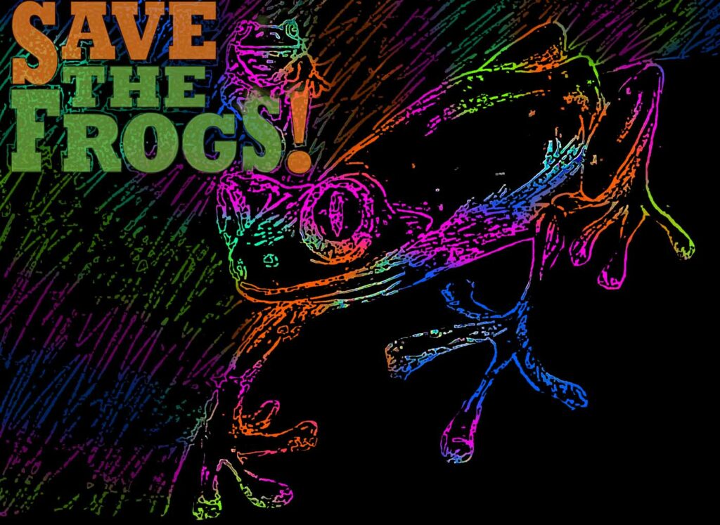 Janus Fourie South Africa 2023 save the frogs art contest 1
