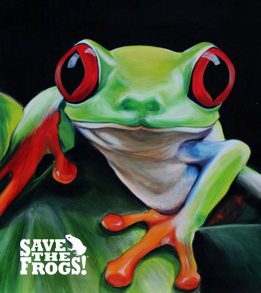 Jayden Vallejo USA 2022 save-the-frogs-art-contest 1 honorable