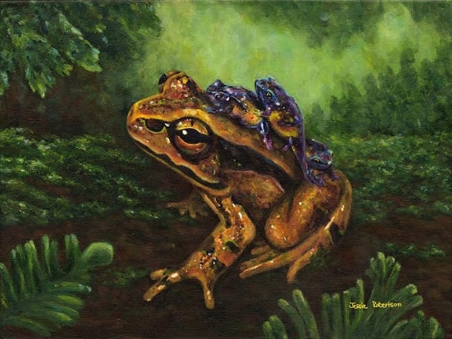 Frog Artist Jessie Robertson SAVE THE FROGS