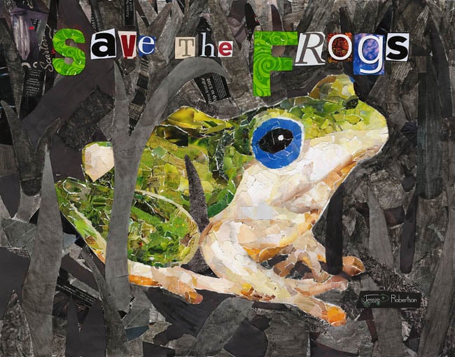 Frosch-Collage