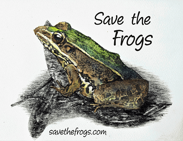 Save The Frogs Scholarships