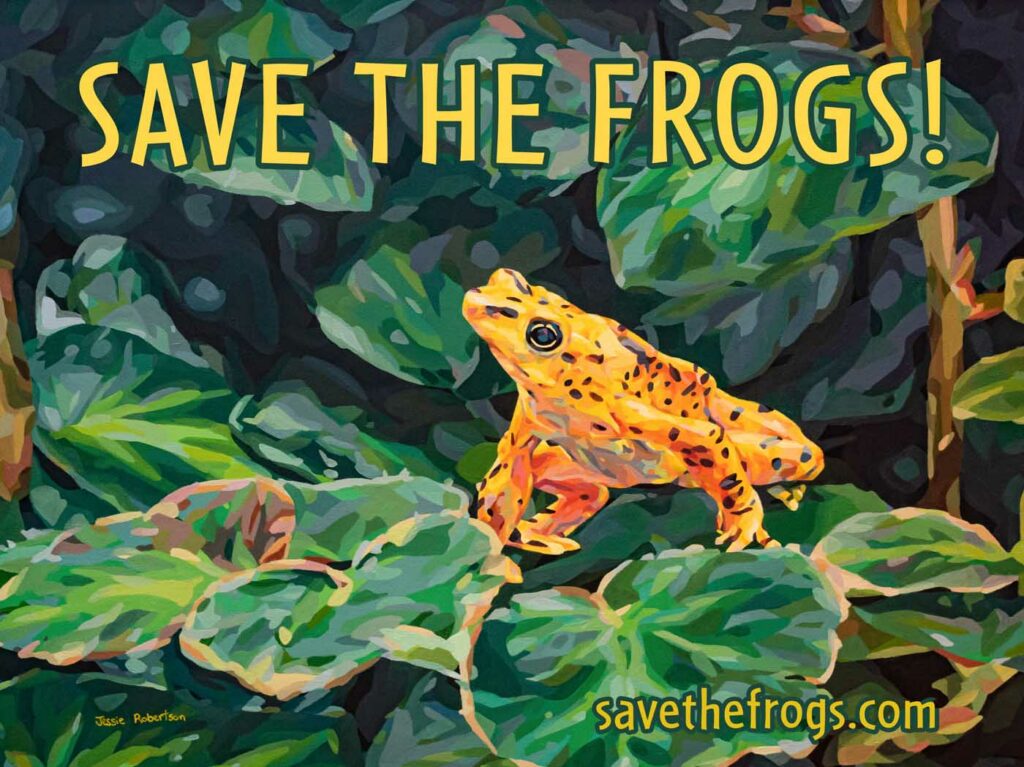Jessie Robertson USA 2023 save the frogs art contest 1