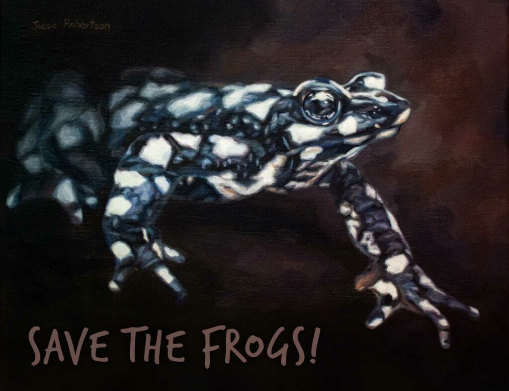 Jessie Robertson USA 2023 save the frogs art contest 2