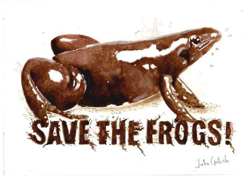 Julia Gabriela de Oliveira Brazil 2023 save the frogs art contest 2