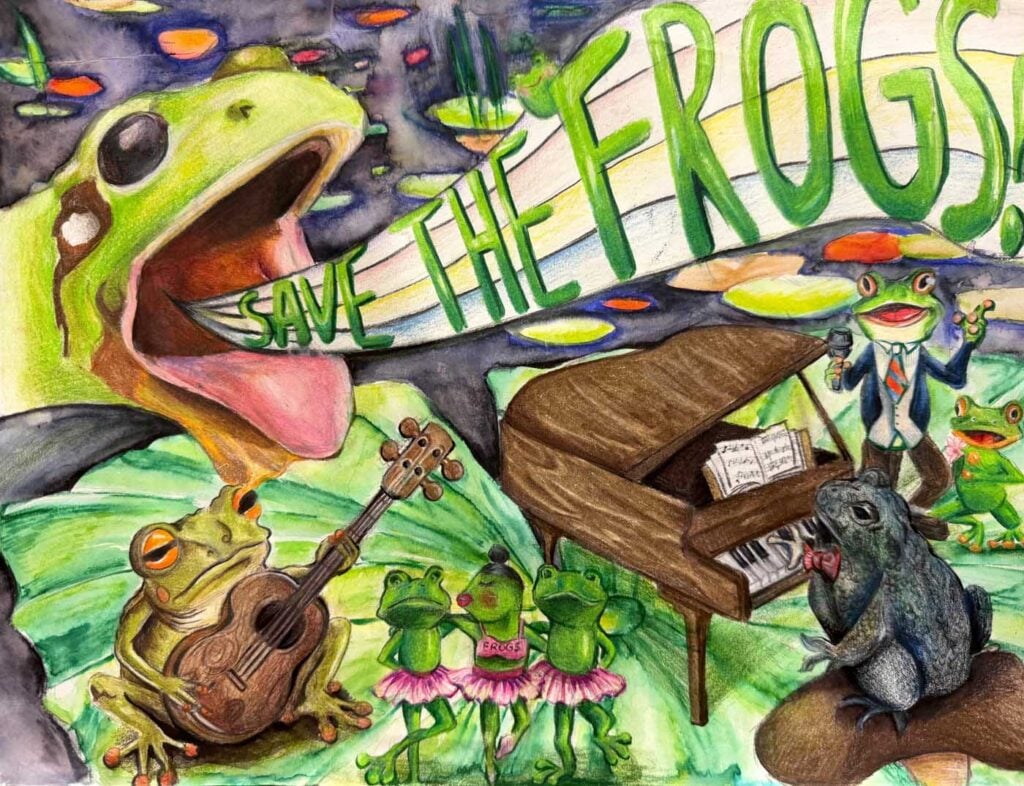 朱莉安娜·尹(Juliana Yin),美国,2025年拯救青蛙艺术大赛决赛入围者