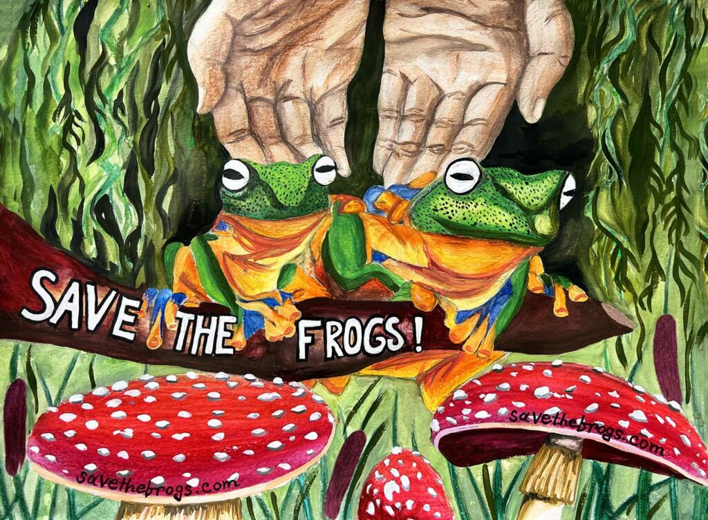 Junainah Naser USA 2023 save the frogs art contest 1