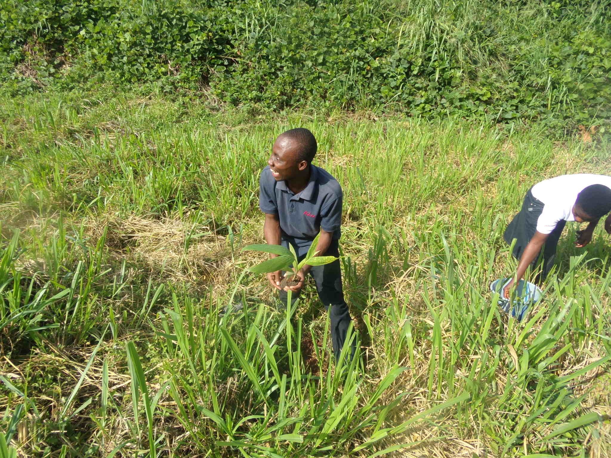 Ghana KNUST Chapter vince una sovvenzione per monitorare le rane in via di estinzione lungo il fiume Wewe