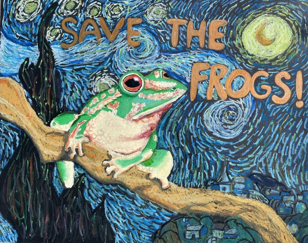 Kayla Shi USA 2023 save the frogs art contest 1