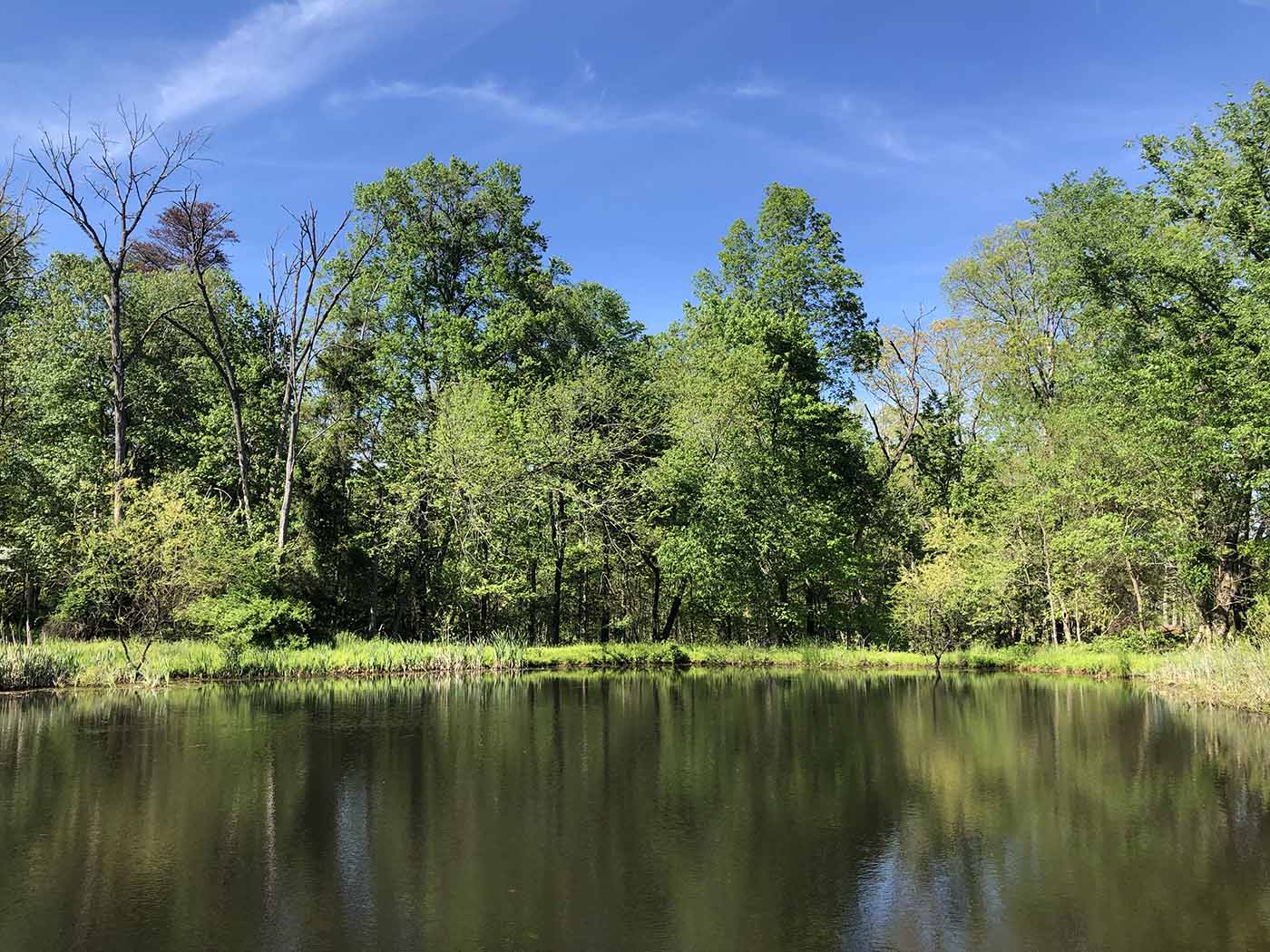 Kerry Kriger Pond Virginia