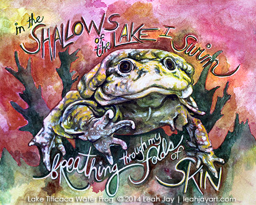 Bolivia Leah Jay Frog Art