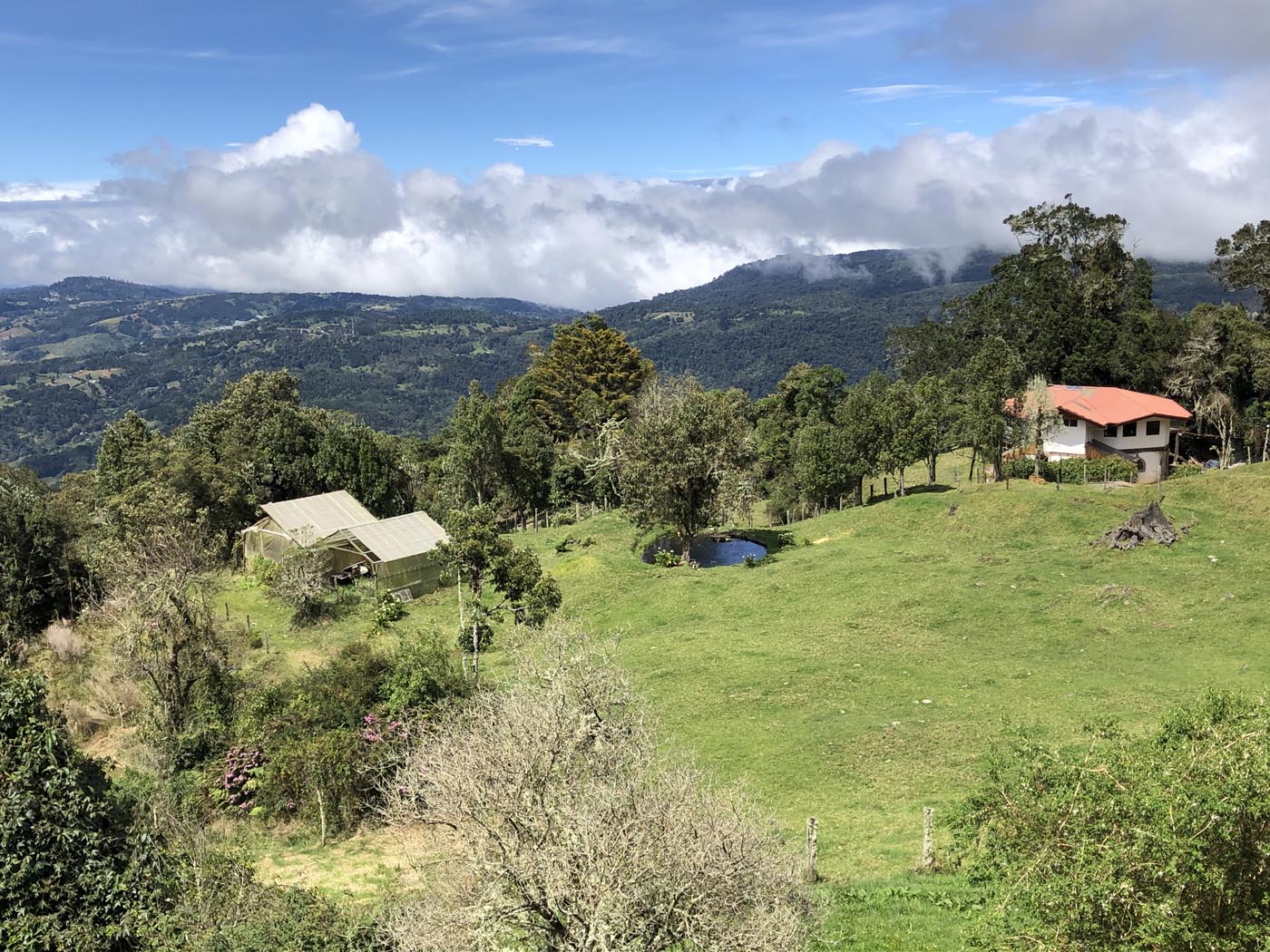 Las Vueltas Cloudforest Costa Rica Ecotour 2021 19