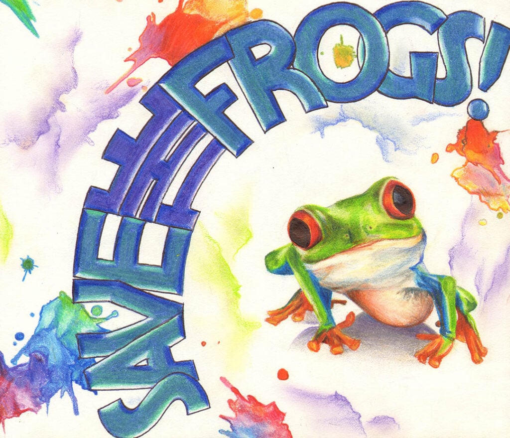 Lauren-Lucente-14 2011 Save The Frogs Art Contest