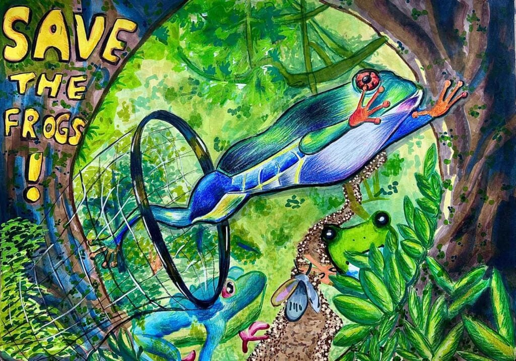 Loefel Youchen Sim 入围 2025 年新加坡拯救青蛙艺术大赛决赛