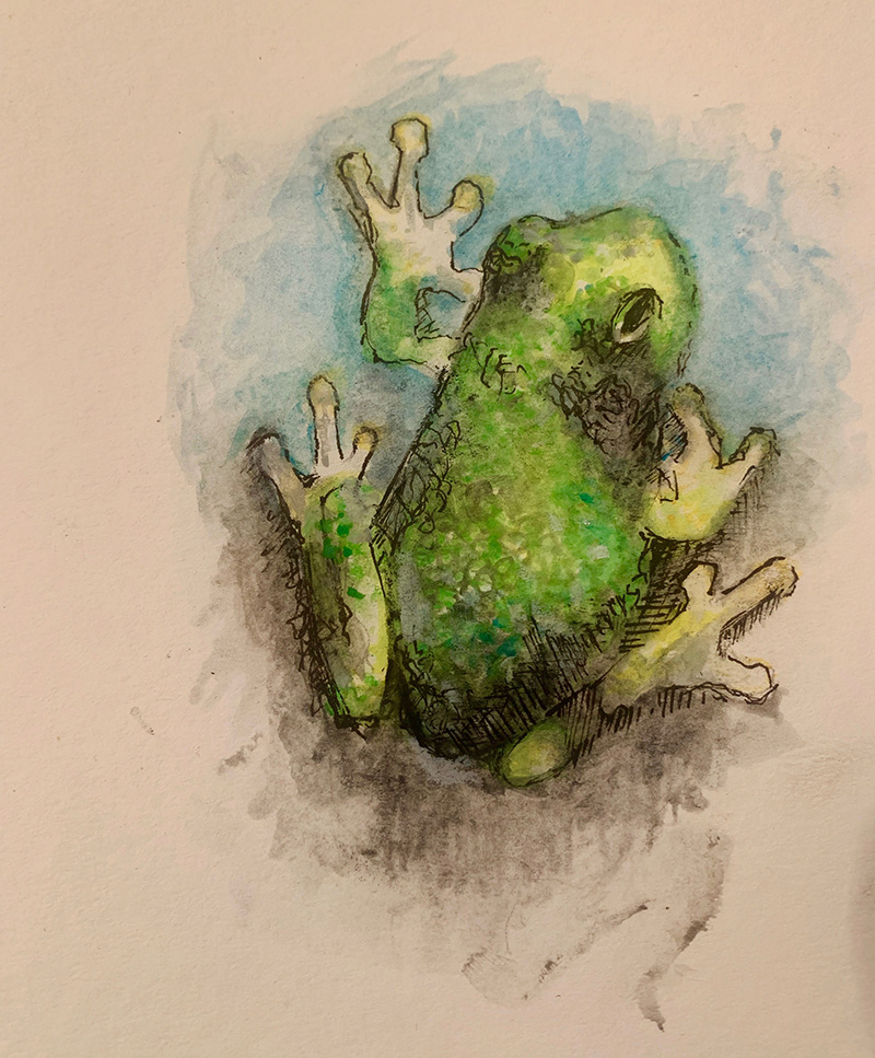 Logan-Rance-Frog-Art