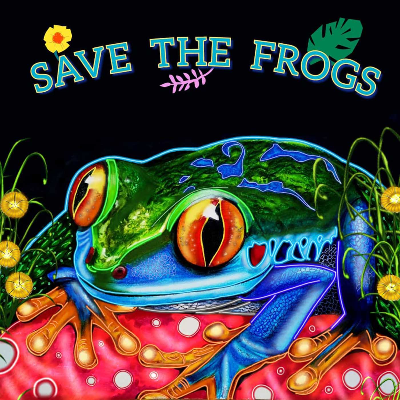 МАРИЯ ВИКТОРИЯ МИЛАНО ЛОПЕС Венесуэла 2023 Конкурс искусств «Спасите лягушек»