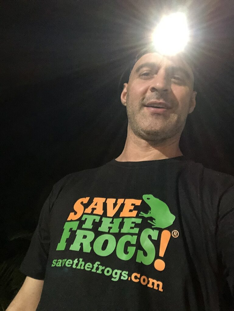 Maintain The Balance Shirt Save The Frogs Kerry Kriger 18 800 1