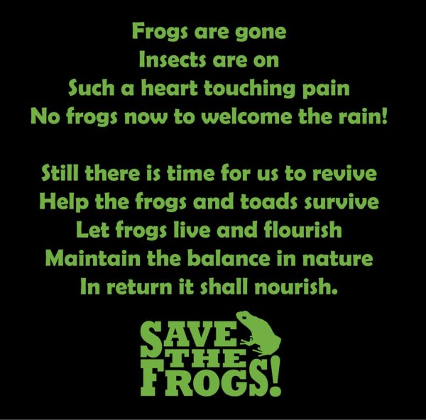 รักษาความสมดุล เสื้อ Save The Frogs Poem Poemry 1080x1080 1 1