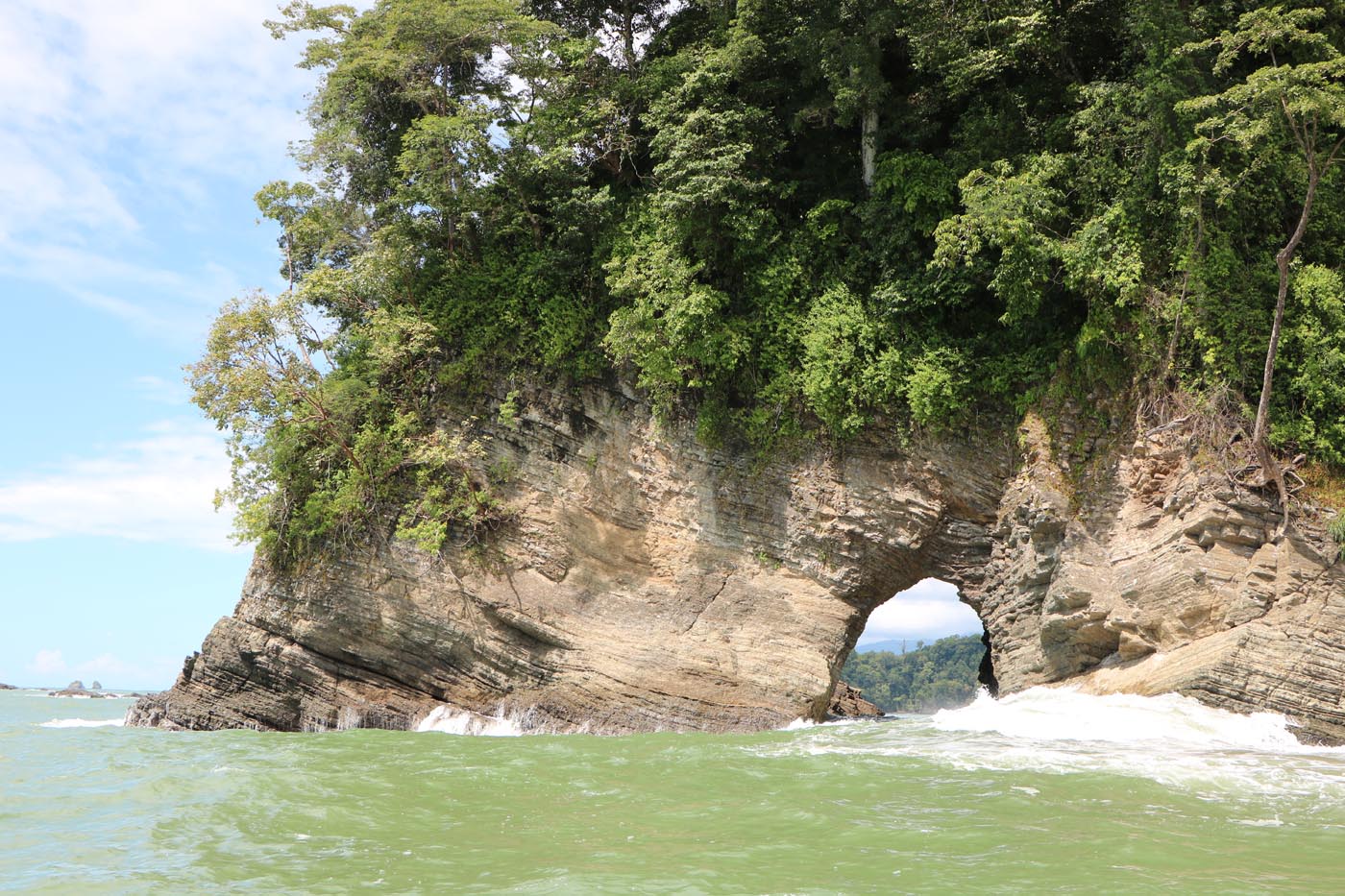 Marina Ballena National Park Costa Rica Ecotour 2021 51