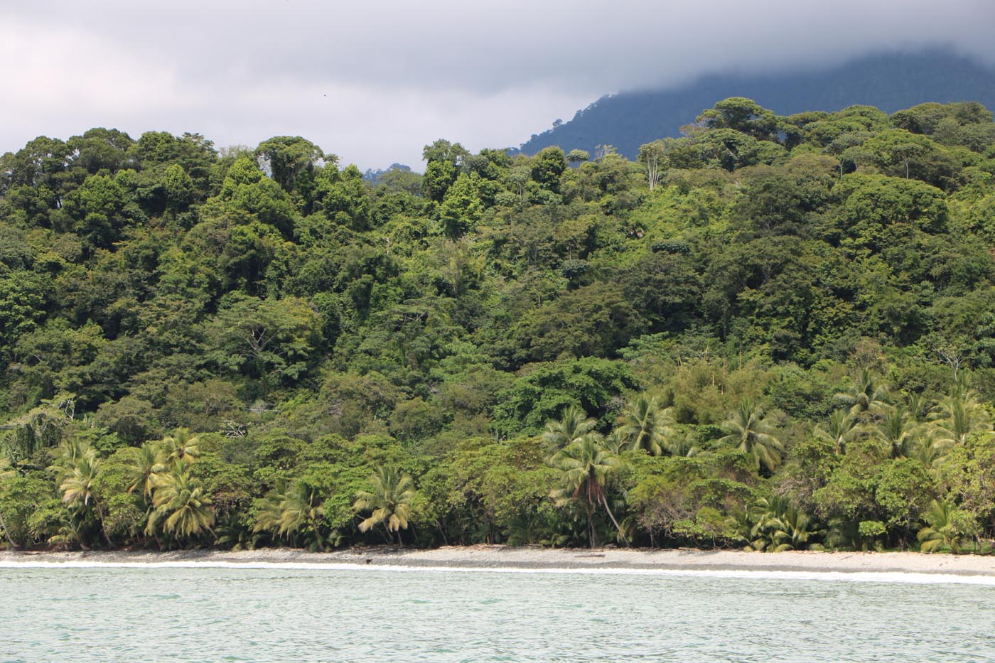 Marina Ballena National Park Costa Rica Ecotour 2021 52