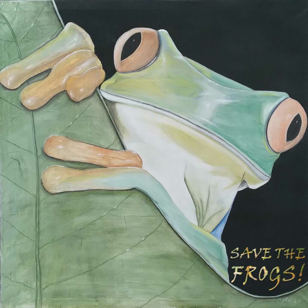 Martin Torres Mexico 2023 save the frogs art contest 1