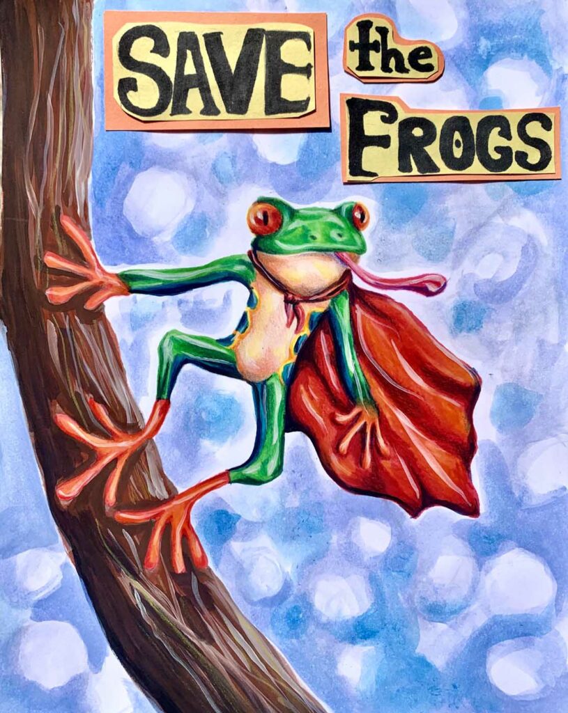 Marysabella Llamas USA 2023 save the frogs art contest 2